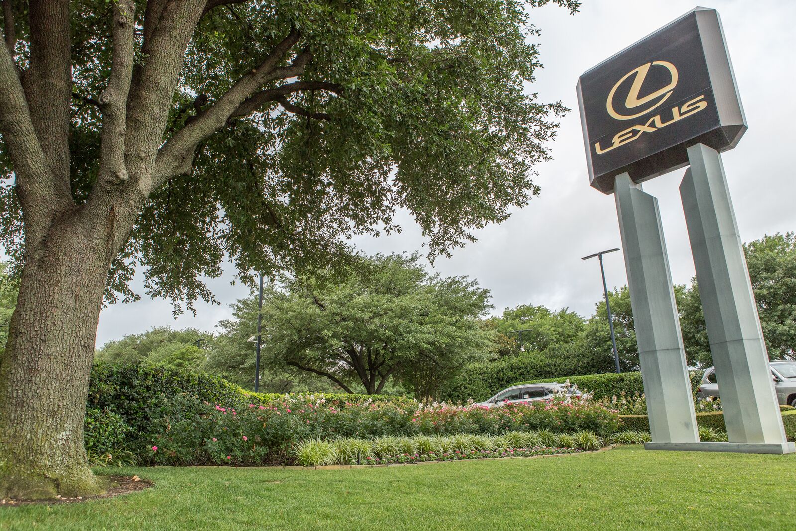 07SewellAutomotiveGroup_preview