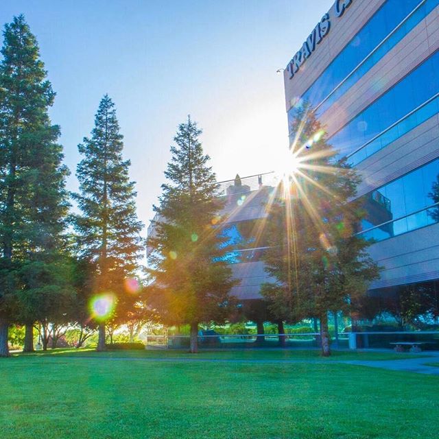 20393531_1628705997200880_4516614417659461632_n