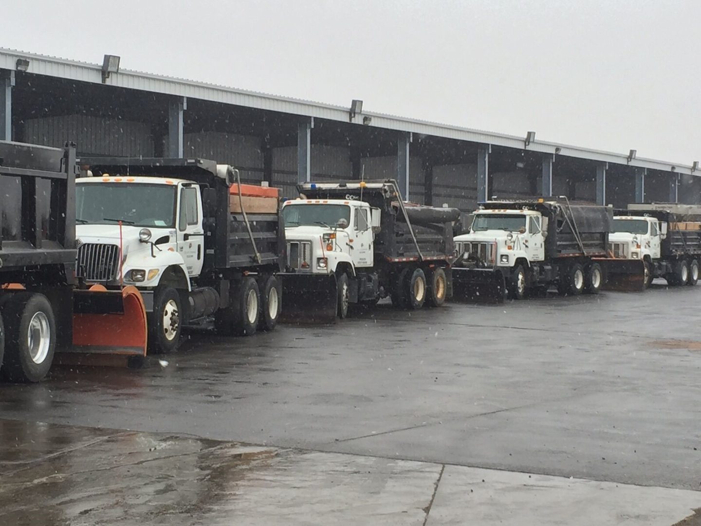 IMG_2631_preview (2)